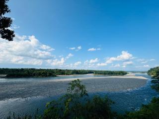 Amazon Gardens - 8