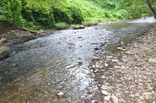 Creekside Hideaway - 4
