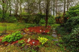 Creekside Hideaway - 1