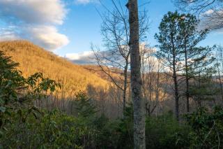 Deer Creek Lodge - Bryson City - 7
