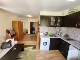 Pine tree Easy Ski access - Next 100m to Ski slope and forest view - Bansko - 9