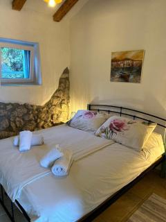 Villa Jelly - Šmrika - 4