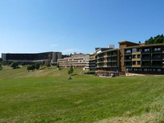 Studio terrasse Villard de Lans Les Glovettes - Villard-de-Lans - 2