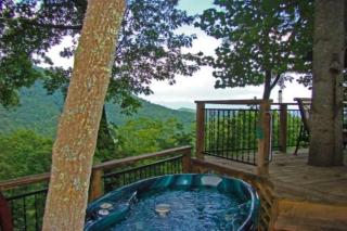 Bear Hug Cabin - Bryson City - 9