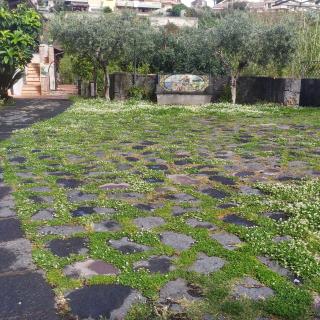 Il Giardino di Galatea - Acireale - 7