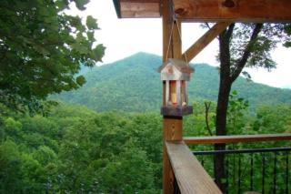 Bear Hug Cabin - Bryson City - 1