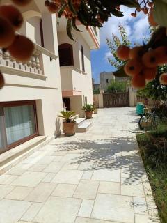 Casa Relax a Salignano - Castrignano del Capo - 9