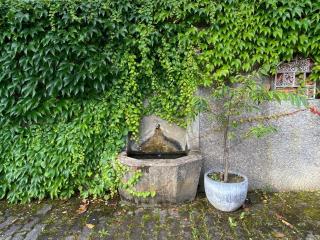 Ferienwohnungen mit privater Sauna und traumhaften Salzwasser-Pool - Anger - 4