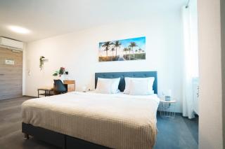 Hotel am Schafbaum - Bad Rappenau - 7