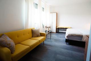Hotel am Schafbaum - Bad Rappenau - 6