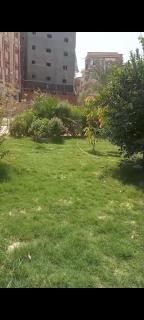 شقه ارضي بجنينه خاصه في النورس - Ismailia - 8