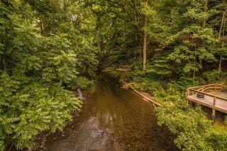 Moonshine Creek Retreat - Bryson City - 8