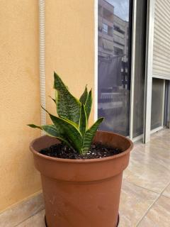 Home Sweet Home - Guest House - 3