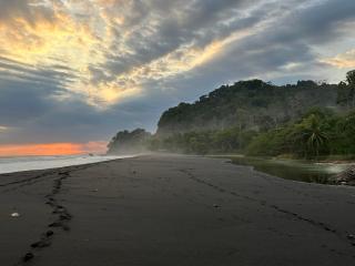 Tropical Camas Surf House - 2