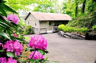 Big Oaks Pointe - Bryson City - 0