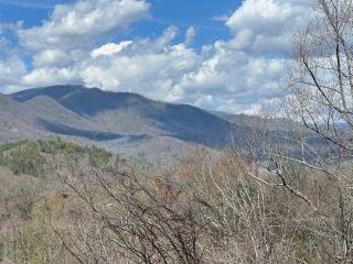 Big Oaks Pointe - Bryson City - 8
