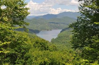 A Treehouse View Over Lake - 7
