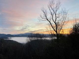 A Treehouse View Over Lake - Roundhill - 6