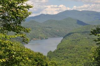 A Treehouse View Over Lake - Roundhill - 5