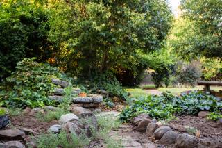 Downtown Dream Casa Near Chico State, Private Yard - Chico - 3