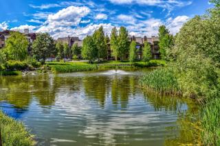 Elkhorn Springs Retreat - Sun Valley - 9