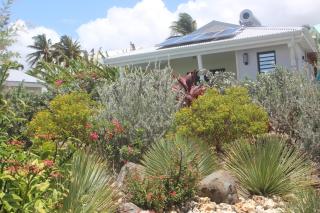 Iguane House Villas & Micro Spa - Sainte-Anne - 7