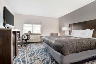 Best Western Montgomery I-85 North - Montgomery - 8