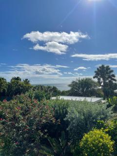 Iguane House Villas & Micro Spa - Sainte-Anne - 8