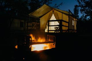 Wildhaven Sonoma Glamping - Healdsburg - 2