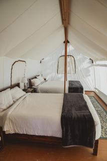 Wildhaven Sonoma Glamping - Healdsburg - 3