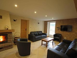 Grande maison avec cheminée, proche nature, idéale pour familles et amis, animaux admis. - FR-1-589-229 - Rehaupal - 8