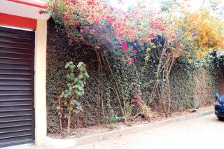 Departamento Bugambilias - Città di Oaxaca - 2