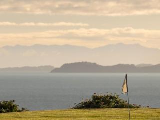 Tio Point - Clevedon Family Getaway - Clevedon - 7
