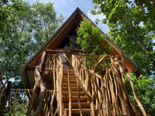 Angry Birds Tree house - Habarana - 9