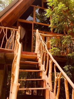Angry Birds Tree house - Habarana - 6