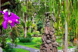 Punita 1 BR Grand Deluxe Garden ZN237 - Ubud - 3