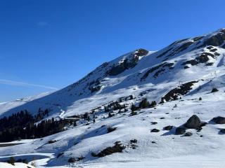 Pilanous Residence - E-Alpine Suite - Swiss Alps - 7