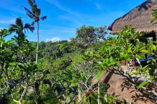 Ritika 1 BR Deluxe Garden view ZN238 - Ubud - 4