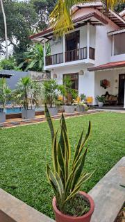 Villa 365 Thalpe - 4