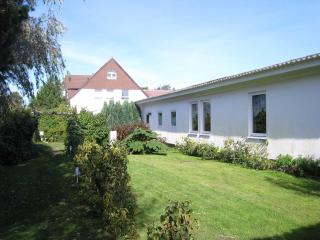 Seepferdchen - Hiddensee - 0