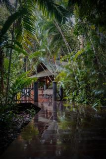 Ferntree Rainforest Lodge - Cape Tribulation - 3