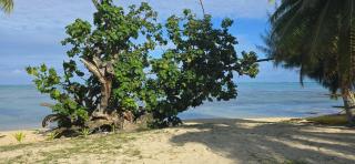 Villa Anahere - 2