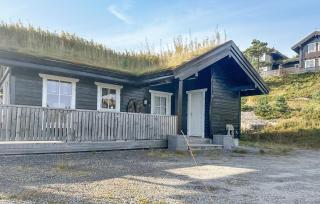 3 Bedroom Nice Home In Vrådal - Vradal - 1