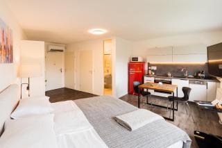 URBAN ISLAND I Riverside Apartments - Vienne - 6