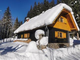 APARTMENTS ROGLA LUKANJA 1 - Oplotnica - 9