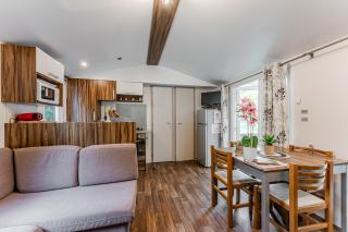 Mobil Home Confort Avec Clim 6 - Onesse-et-Laharie - 1