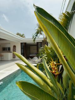 Aster Villa Seminyak - Seminyak - 3