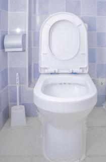 Yaya Luxe Living - 2