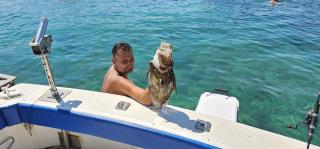 Fishing Chatrer -Big game-izleti brodom - Primošten - 3