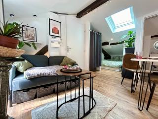 Loft Hortensia Climatisé hyper Centre Castres - Castres - 5